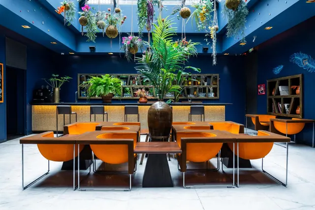 A blue-walled lounge has orange chairs, a bar counter, shelving, and hanging plants beneath a skylight.