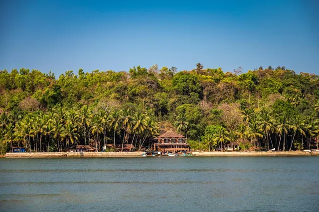 A palm-lined waterfront property sits across the calm water beneath a clear blue sky.