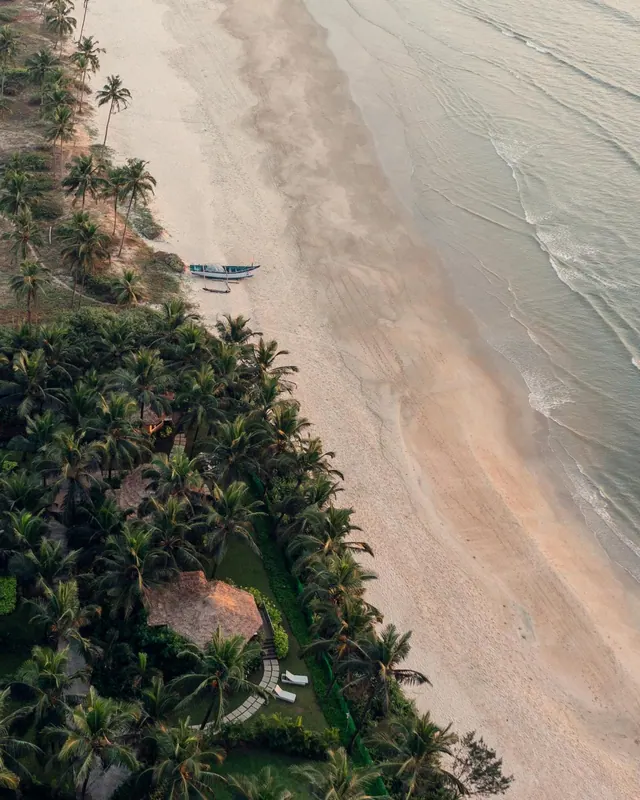 An aerial view shows a sandy beach beside a palm-covered tropical property.