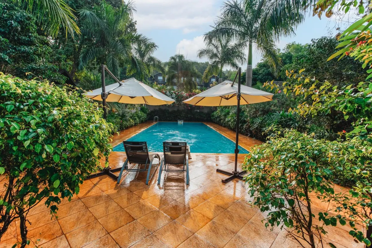 A small swimming pool is surrounded by tropical greenery, loungers, and shade umbrellas.
