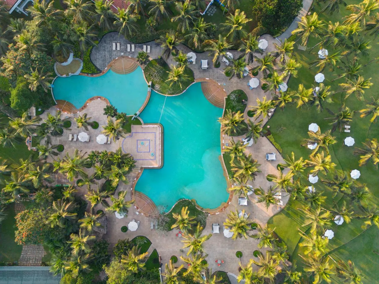 An aerial view shows a large pool surrounded by palm trees, loungers and umbrellas.